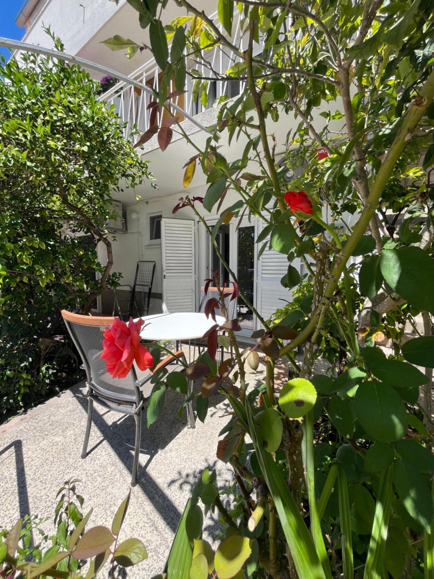 Apartamento Green Oasis For Two, 30 Meters From Sea Zadar Exterior foto